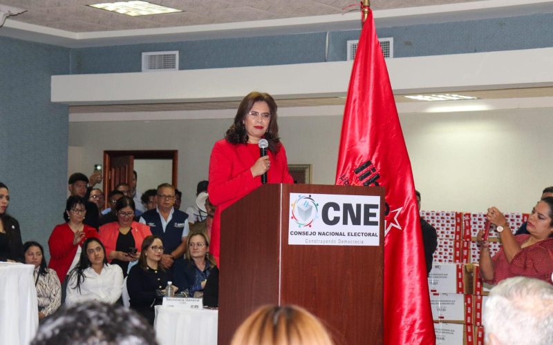 Denuncian sabotaje y presiones al CNE con miras a las elecciones de 2025