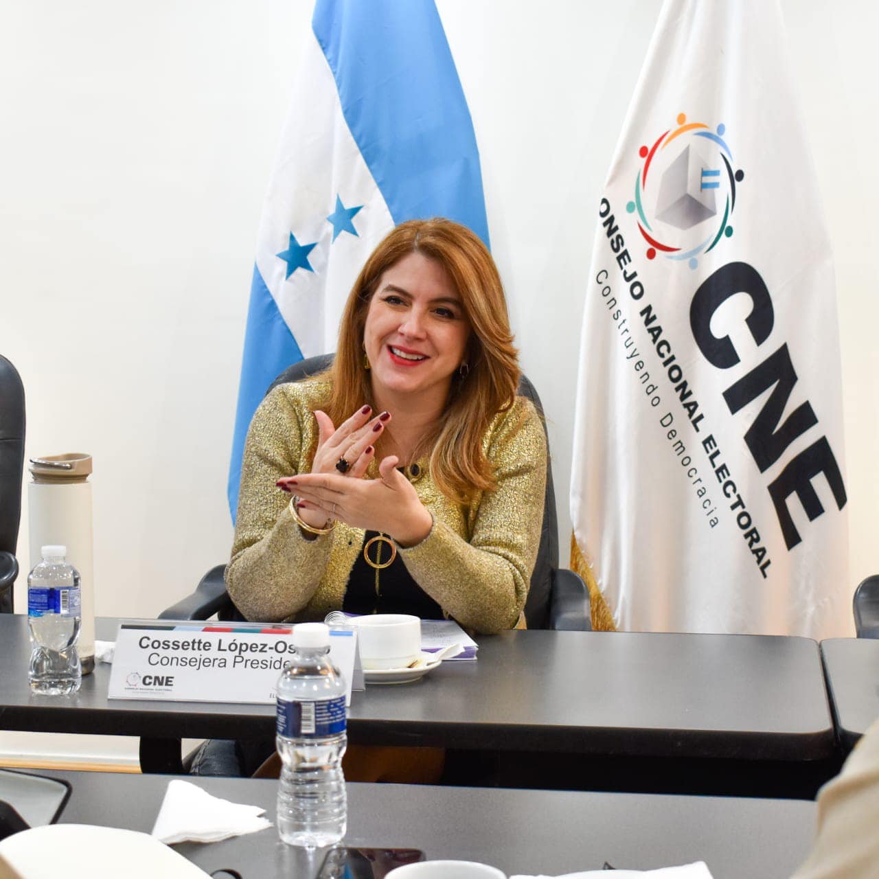 Intervención judicial en el CNE: implicaciones para la democracia de Honduras