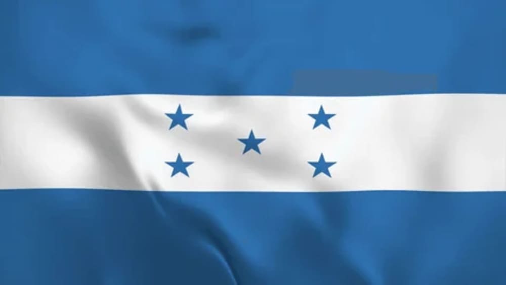 Acceso al Crédito en Honduras: Un Vistazo a la Inclusión Financiera Electoral