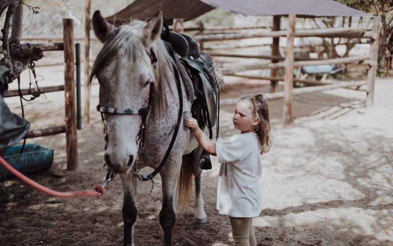 Los países más corruptos según los índices