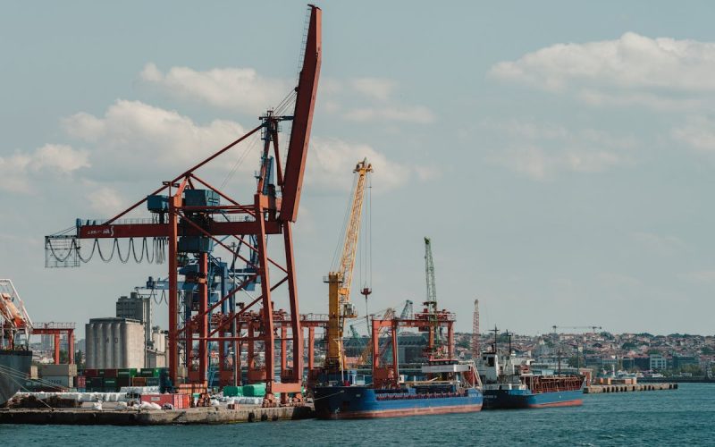 Características principales del proteccionismo comercial